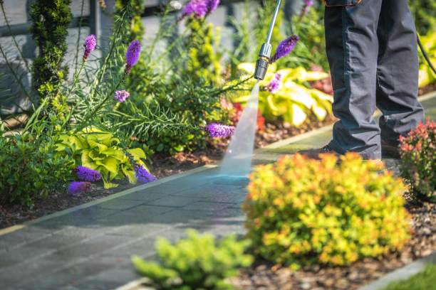 Best Spring Cleaning  in Freemansburg, PA